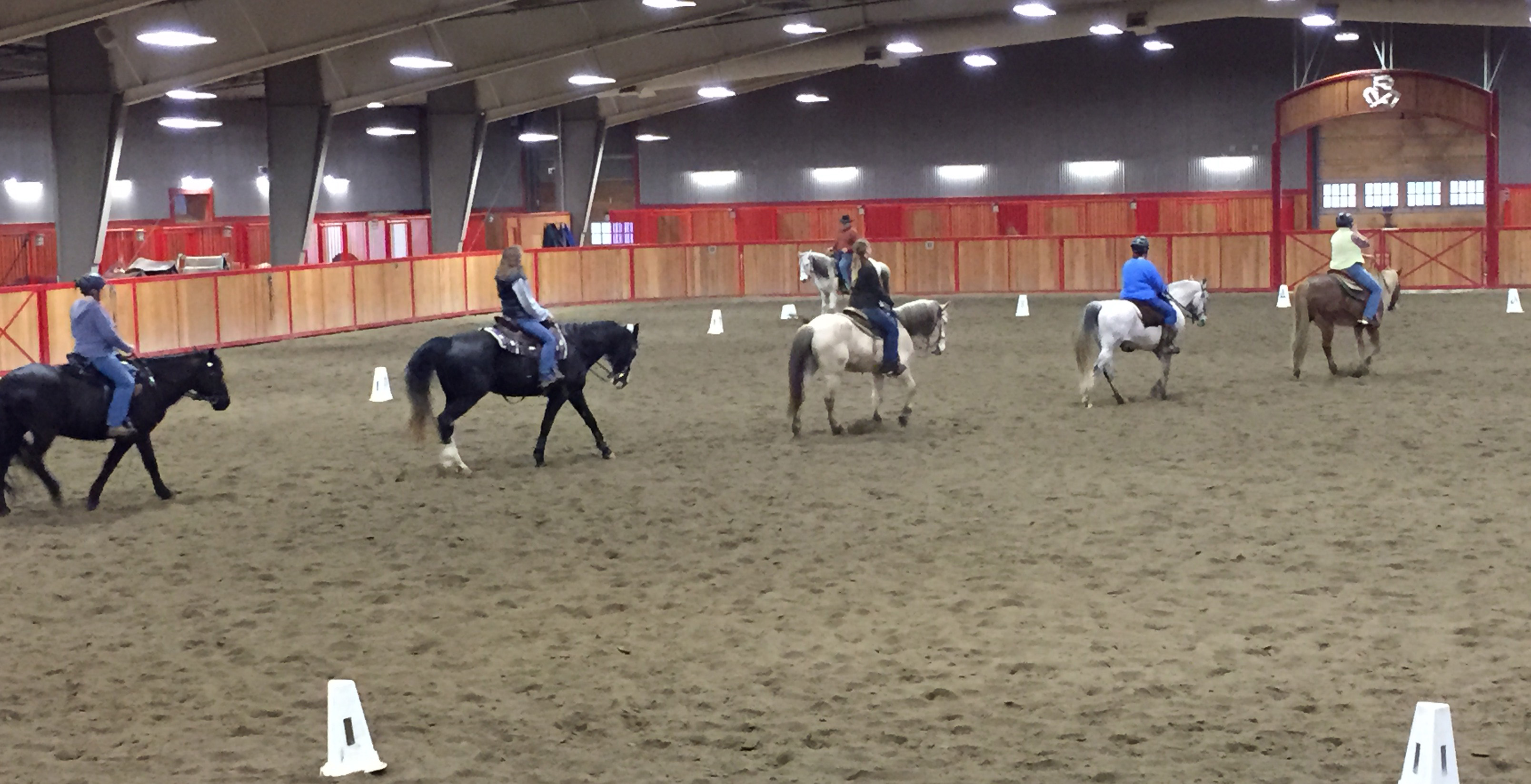 Cowboy Dressage