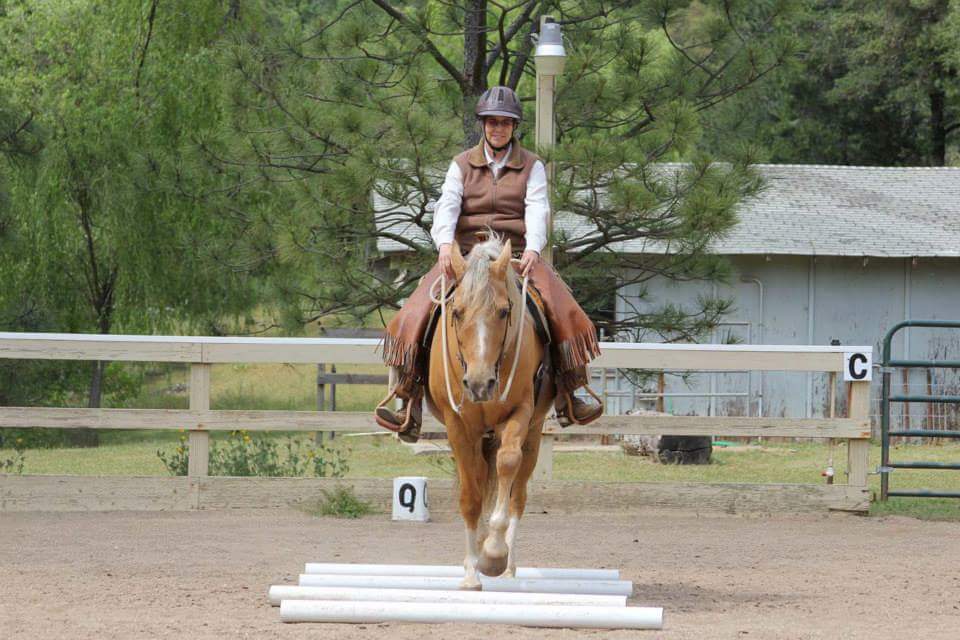 Cowboy Dressage Challenge Court